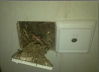 破壞電線 